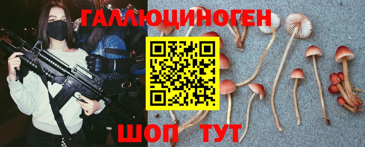 Псилоцибиновые грибы Psilocybe  Вход с VPN  купить наркоту  Кохма 