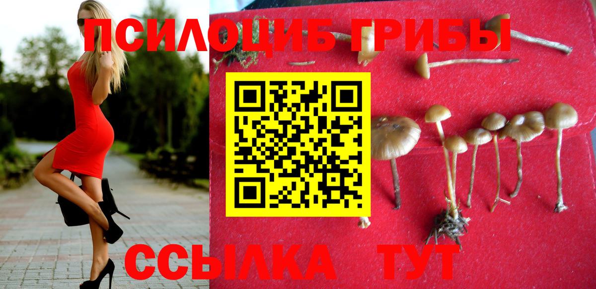 Галлюциногенные грибы ЛСД Кохма